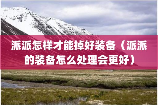 派派怎样才能掉好装备（派派的装备怎么处理会更好）