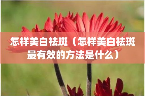 怎样美白祛斑（怎样美白祛斑最有效的方法是什么）