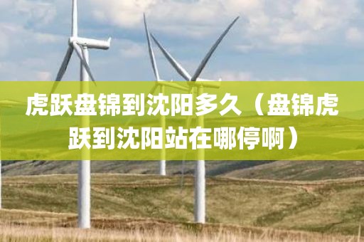 虎跃盘锦到沈阳多久（盘锦虎跃到沈阳站在哪停啊）