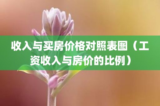 收入与买房价格对照表图（工资收入与房价的比例）