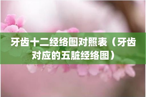 牙齿十二经络图对照表（牙齿对应的五脏经络图）
