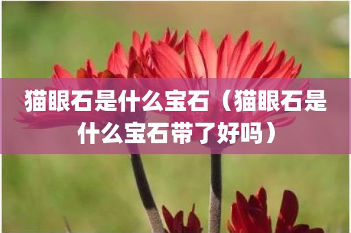 猫眼石是什么宝石（猫眼石是什么宝石带了好吗）