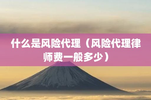 什么是风险代理（风险代理律师费一般多少）