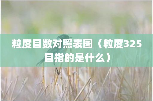 粒度目数对照表图（粒度325目指的是什么）