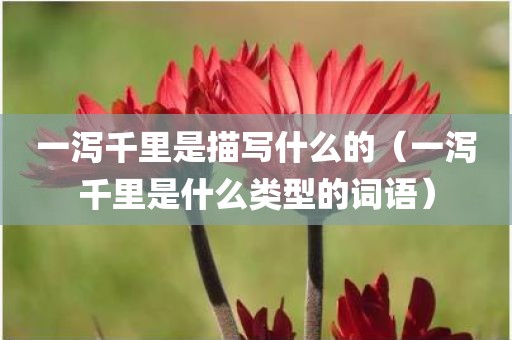 一泻千里是描写什么的（一泻千里是什么类型的词语）