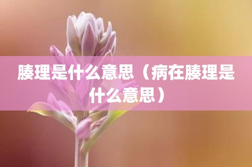 腠理是什么意思（病在腠理是什么意思）