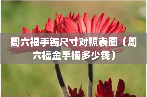 周六福手镯尺寸对照表图（周六福金手镯多少钱）
