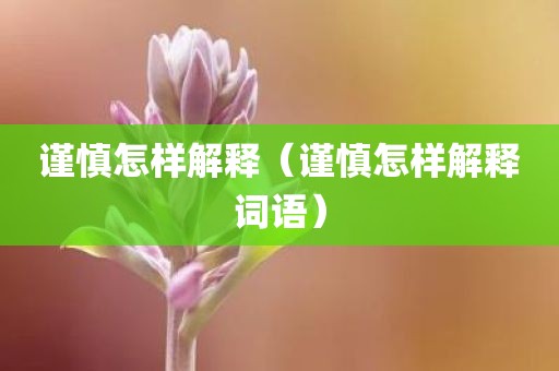 谨慎怎样解释（谨慎怎样解释词语）