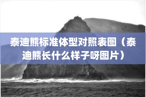 泰迪熊标准体型对照表图(泰迪熊长什么样子呀图片) 泰迪熊标准体型对照表图(泰迪熊长什么样子呀图片)