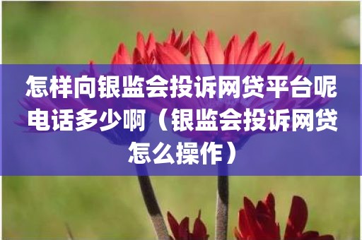 怎样向银监会投诉网贷平台呢电话多少啊（银监会投诉网贷怎么操作）
