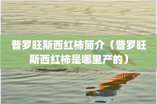 普罗旺斯西红柿简介（普罗旺斯西红柿是哪里产的）
