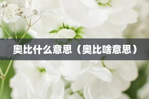 奥比什么意思（奥比啥意思）