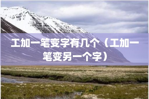 工加一笔变字有几个（工加一笔变另一个字）