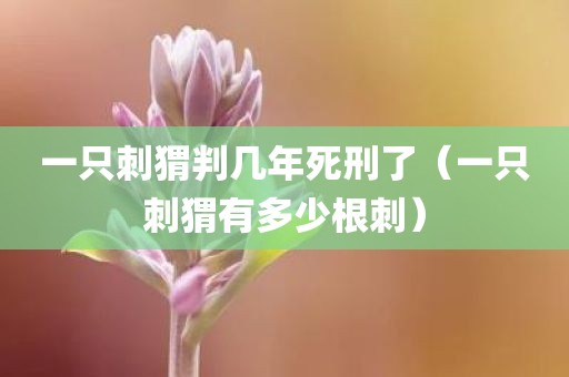 一只刺猬判几年死刑了(一只刺猬有多少根刺)
