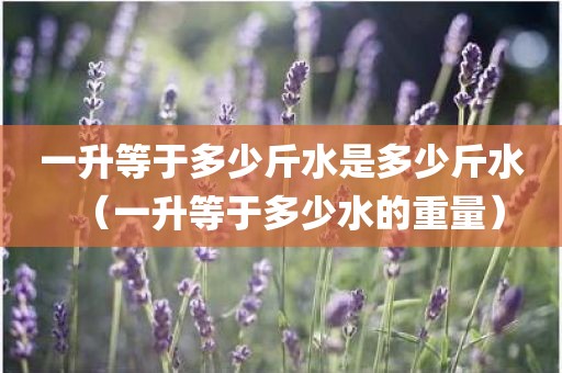 一升等于多少斤水是多少斤水（一升等于多少水的重量）