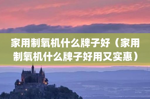 家用制氧机什么牌子好（家用制氧机什么牌子好用又实惠）