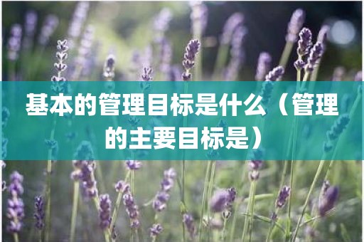 基本的管理目标是什么（管理的主要目标是）