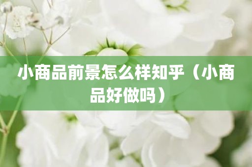 小商品前景怎么样知乎（小商品好做吗）