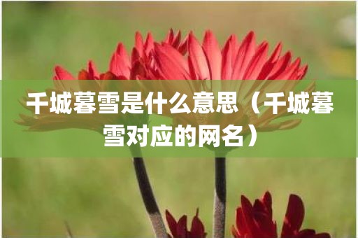 千城暮雪是什么意思（千城暮雪对应的网名）