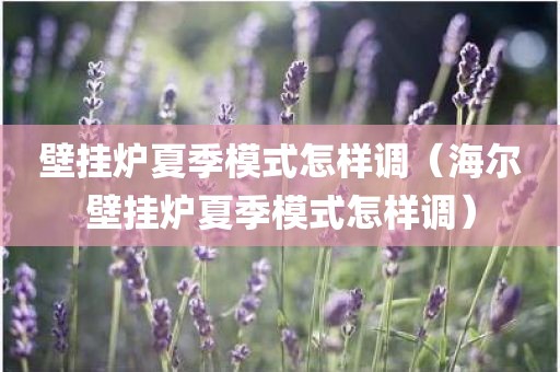 壁挂炉夏季模式怎样调（海尔壁挂炉夏季模式怎样调）