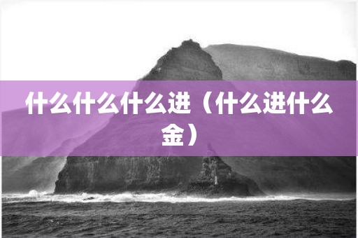 什么什么什么进（什么进什么金）