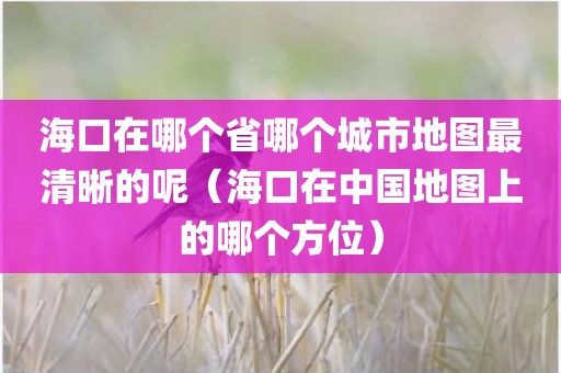 海口在哪个省哪个城市地图最清晰的呢（海口在中国地图上的哪个方位）