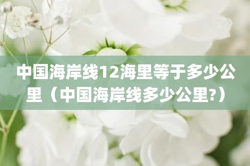 中国海岸线12海里等于多少公里（中国海岸线多少公里?）