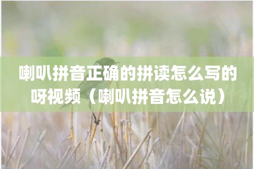 喇叭拼音正确的拼读怎么写的呀视频（喇叭拼音怎么说）
