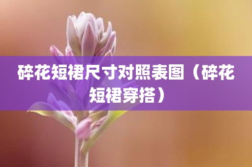 碎花短裙尺寸对照表图（碎花短裙穿搭）