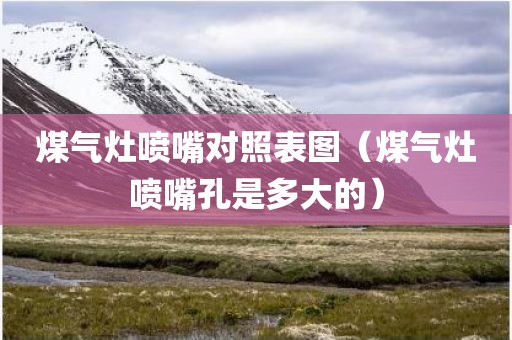 煤气灶喷嘴对照表图(煤气灶喷嘴孔是多大的)
