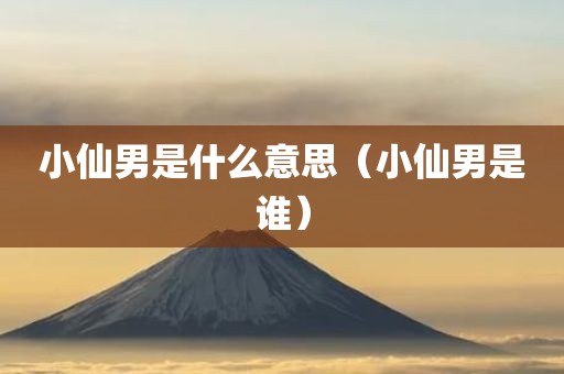 小仙男是什么意思（小仙男是谁）