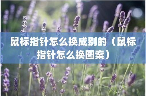 鼠标指针怎么换成别的（鼠标指针怎么换图案）