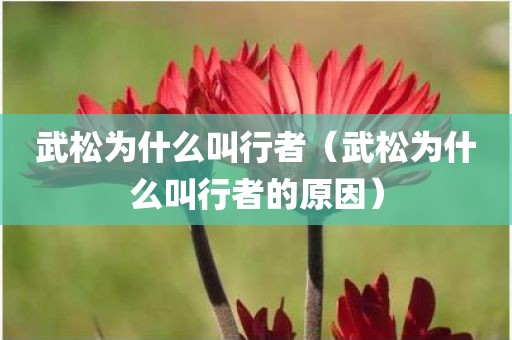 武松为什么叫行者(武松为什么叫行者的原因)