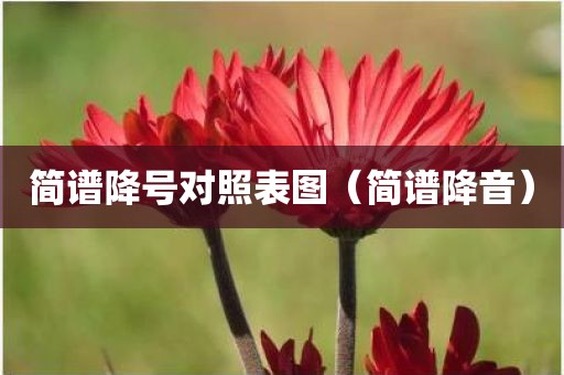 简谱降号对照表图（简谱降音）