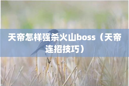 天帝怎样强杀火山boss（天帝连招技巧）