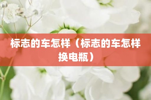 标志的车怎样（标志的车怎样换电瓶）