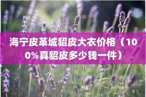 海宁皮革城貂皮大衣价格（100%真貂皮多少钱一件）