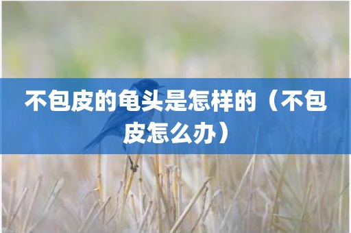 不包皮的龟头是怎样的（不包皮怎么办）