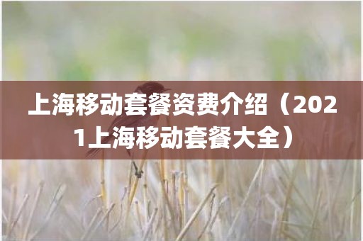 上海移动套餐资费介绍（2021上海移动套餐大全）