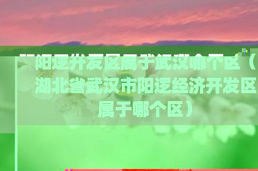 阳逻开发区属于武汉哪个区（湖北省武汉市阳逻经济开发区属于哪个区）