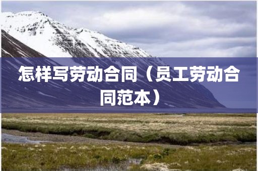 怎样写劳动合同（员工劳动合同范本）