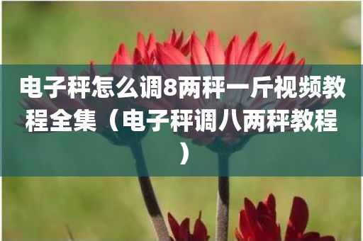 电子秤怎么调8两秤一斤视频教程全集（电子秤调八两秤教程）