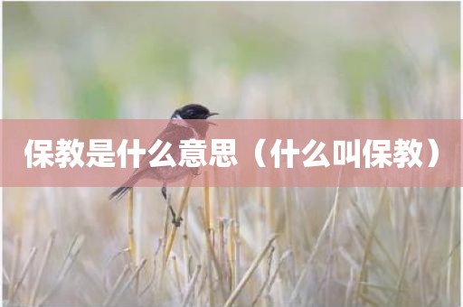 保教是什么意思（什么叫保教）