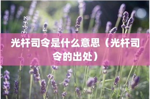 光杆司令是什么意思（光杆司令的出处）