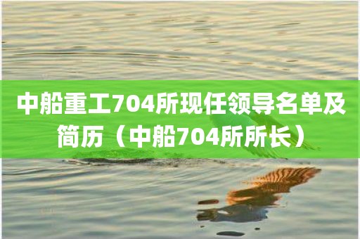 中船重工704所现任领导名单及简历（中船704所所长）