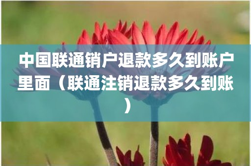 中国联通销户退款多久到账户里面（联通注销退款多久到账）