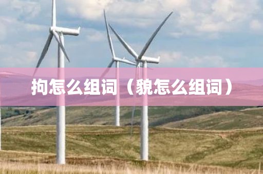拘怎么组词（貌怎么组词）