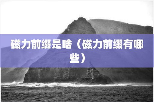 磁力前缀是啥（磁力前缀有哪些）