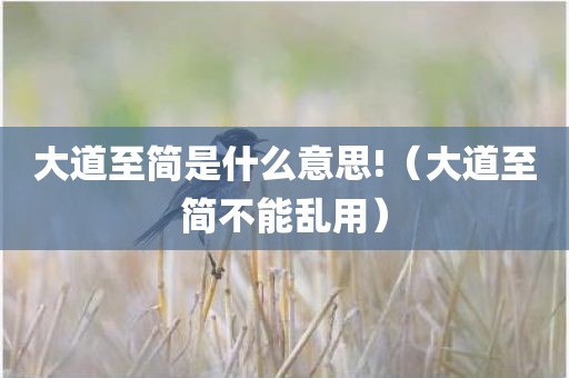 大道至简是什么意思!（大道至简不能乱用）
