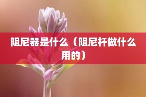阻尼器是什么（阻尼杆做什么用的）